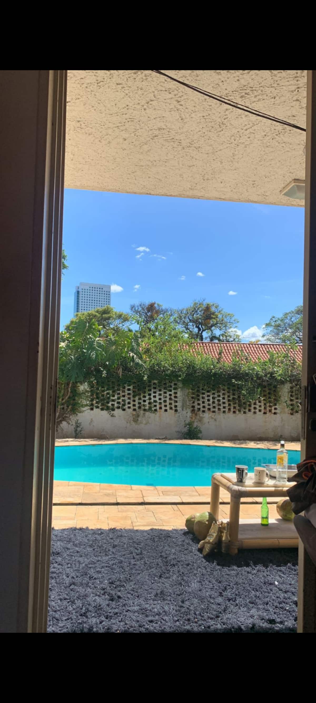 Piscina vista da varanda, com muro vazado e vegetação