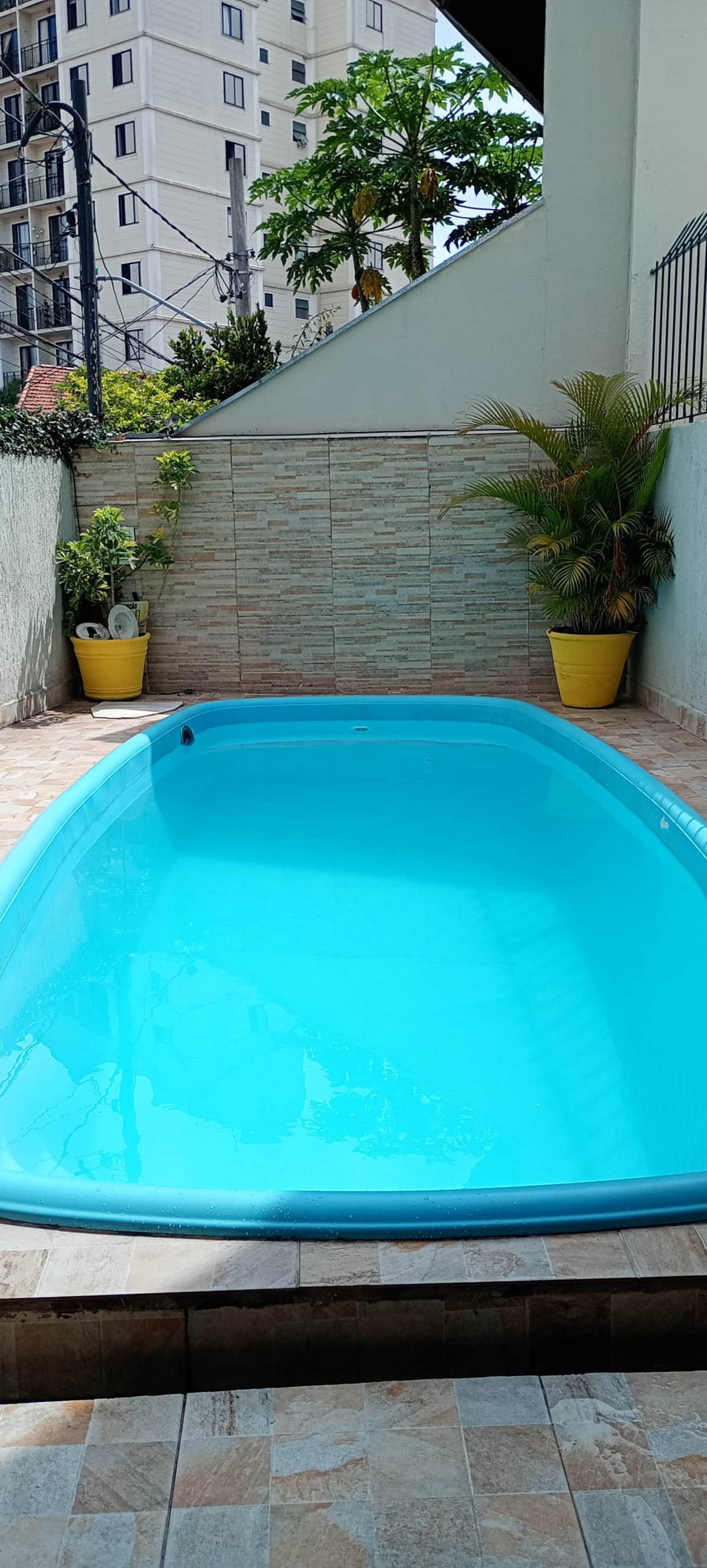 Piscina azul no quintal com vasos de plantas