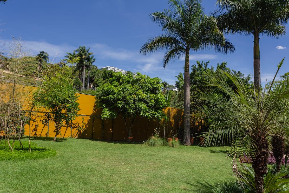 Jardim gramado com palmeiras