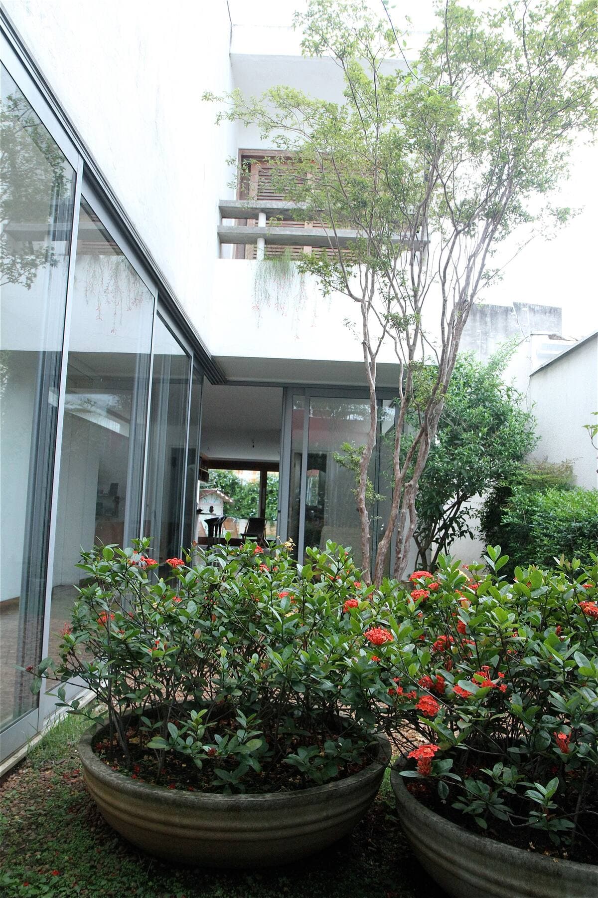 Jardim lateral com arvore e vasos de flores
