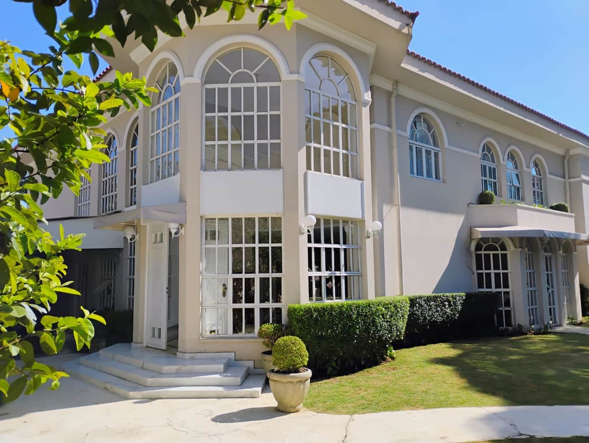 Jardim com arbustos em frente às janelas