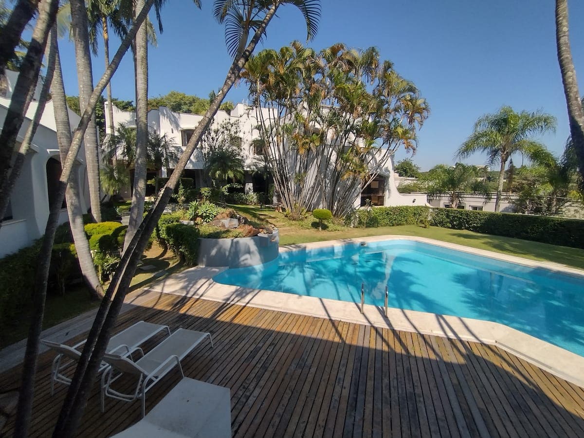 Piscina com deck de madeira entre as árvores