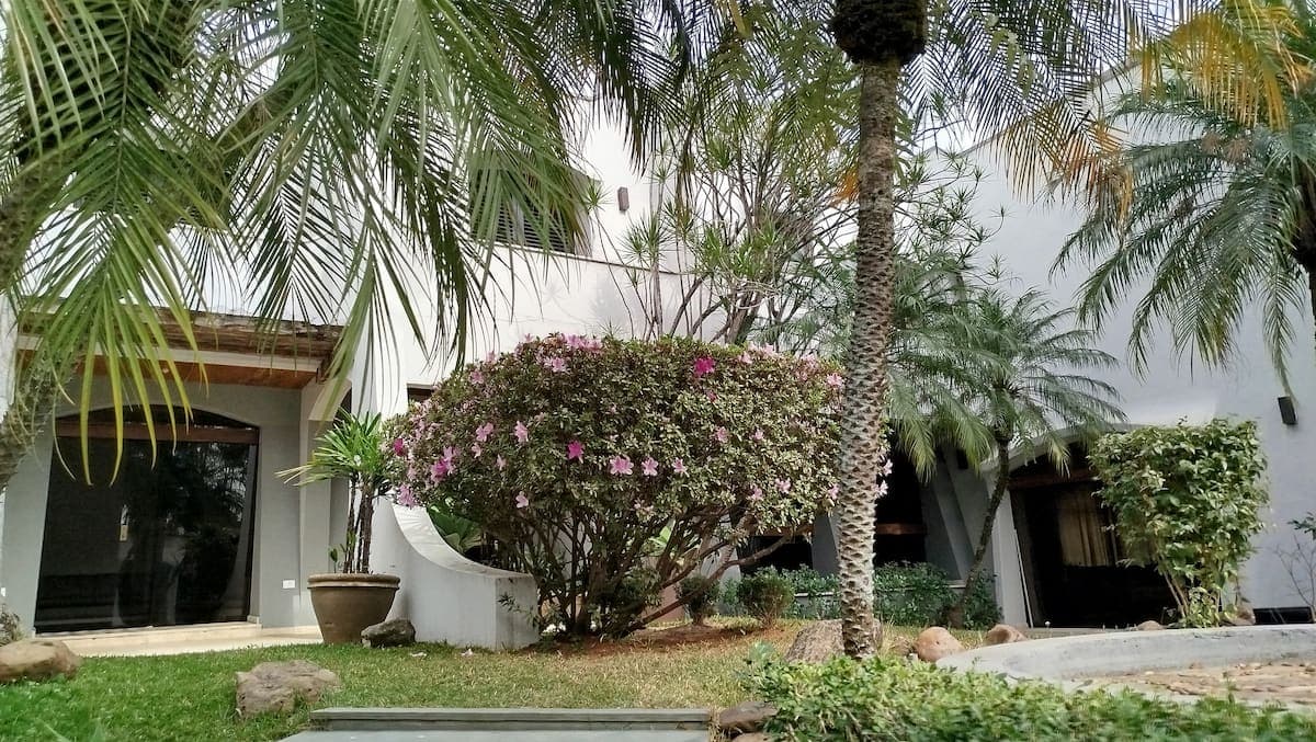 Jardim arborizado com flores