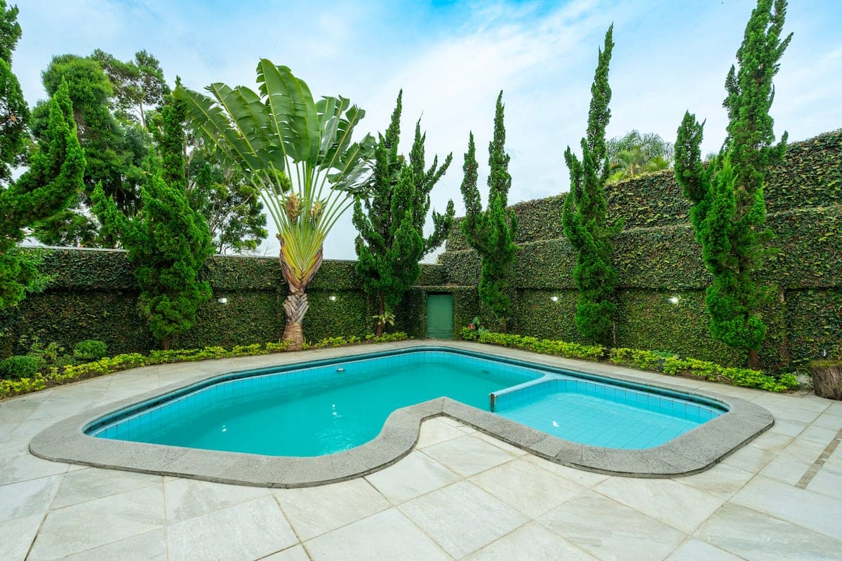 Piscina com jardim e palmeiras ao redor