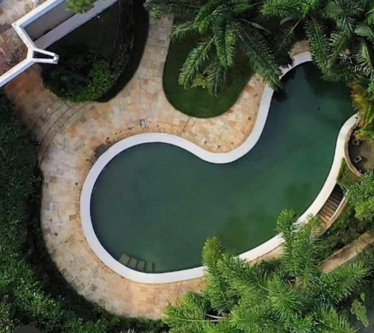 Piscina orgânica vista de cima
